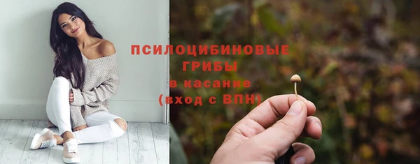 синтетический гашиш Лабытнанги