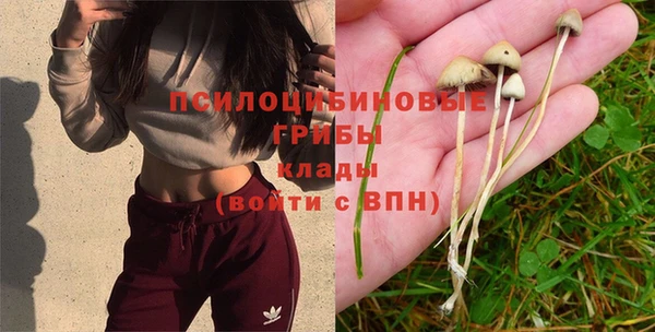 марки lsd Ладушкин